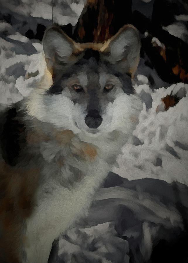 Wolves Digital Art - The Wolf 2 #1 by Ernest Echols