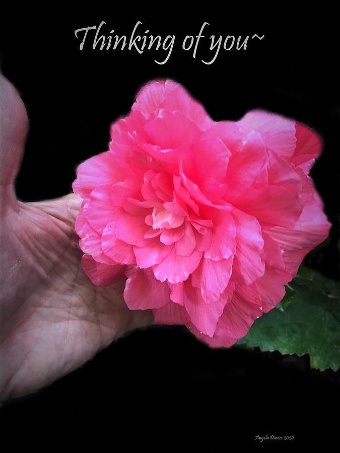Thinking of You by Angela Davies Thinking of You by Angela Davies