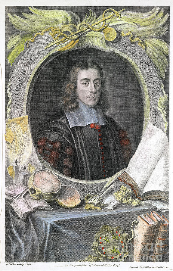 Thomas Willis, 17th Century English #1 Drawing by Print Collector