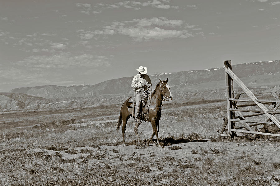 Horse Photograph - Those Wild Montana Skies #1 by Amanda Smith