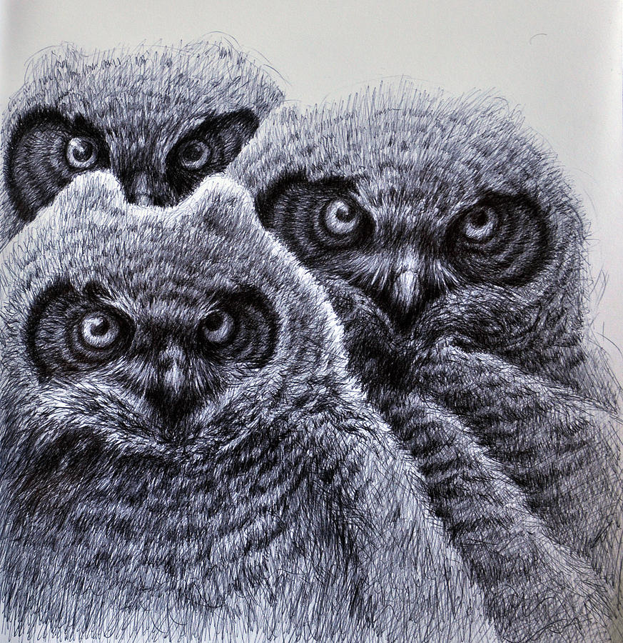 Three Amigos Drawing by Rick Hansen
