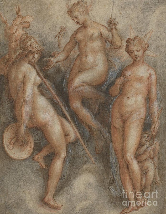 Three Goddesses  Minerva, Juno and Venus Drawing by Jan van der Straet