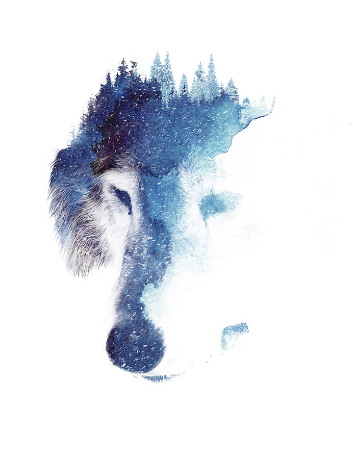 Wolves Painting - Through Many Storms #1 by Robert Farkas
