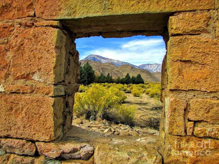 Through The Window #1 Photograph by Marilyn Diaz