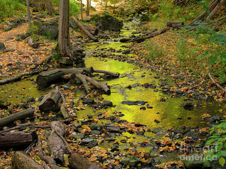 Tiffany Creek in Ancaster Ontario #1 Photograph by Louise Heusinkveld