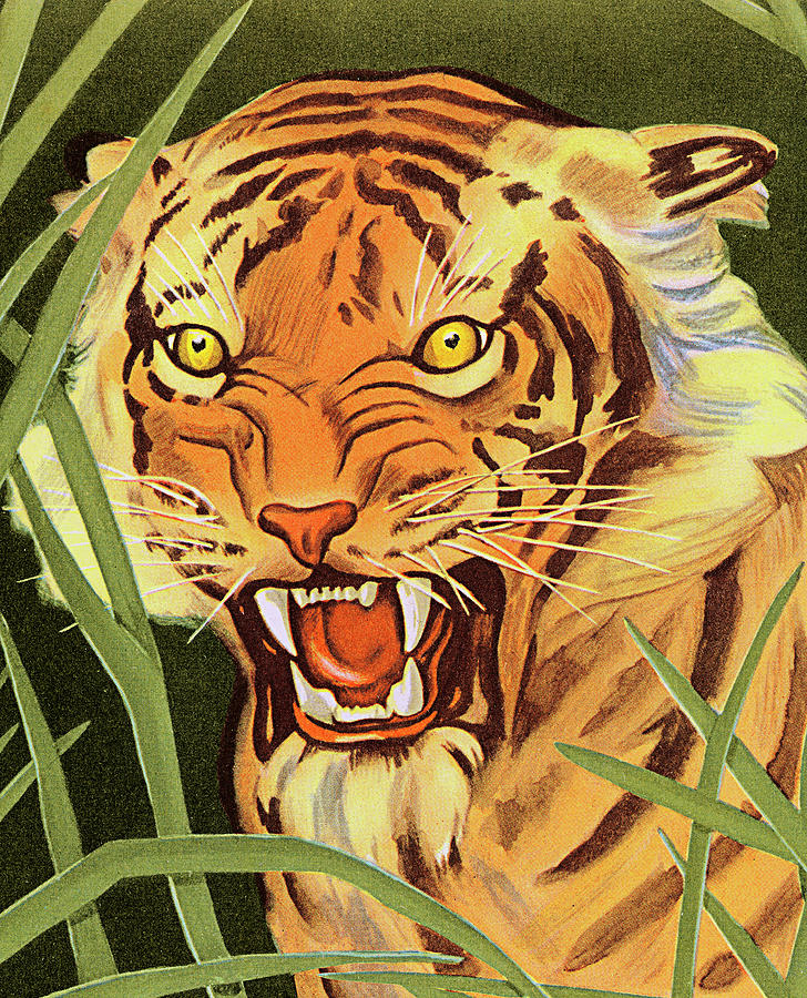 Jungle Drawing - Tiger in the Grass #1 by CSA Images