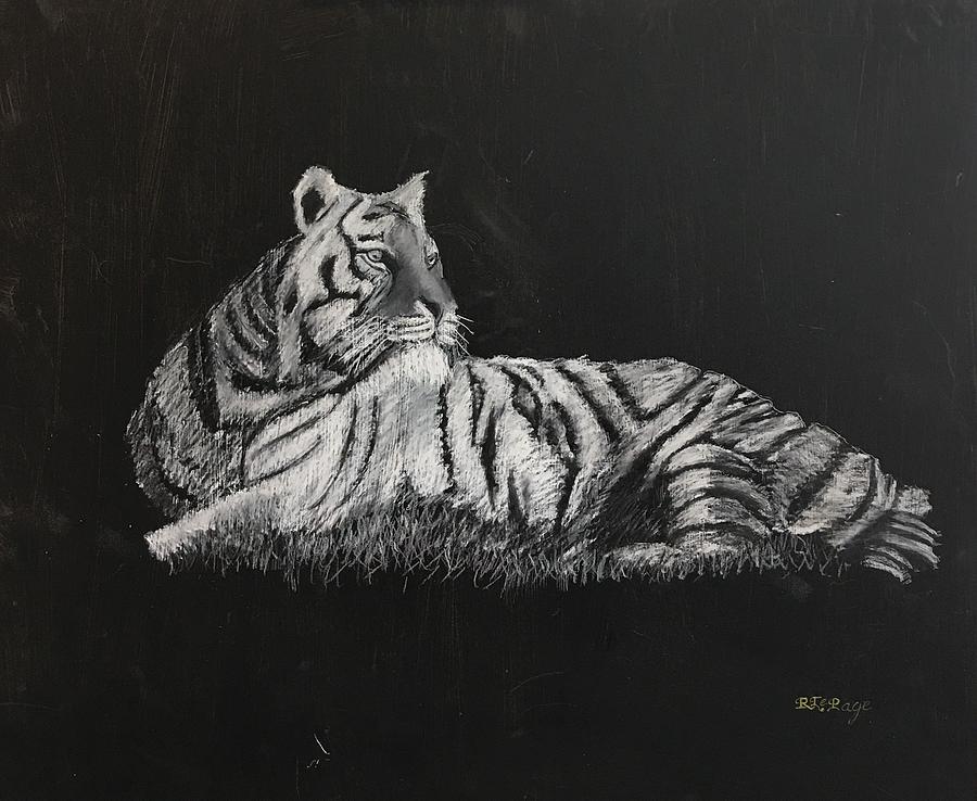 Tiger #1 Pastel by Richard Le Page