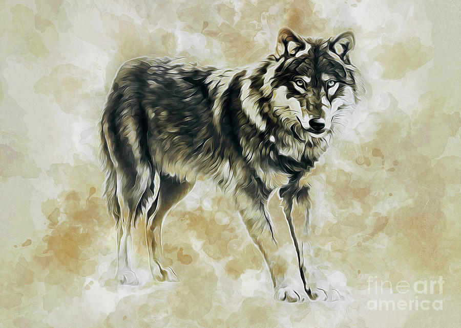 Timber Wolf by Ian Mitchell Timber Wolf by Ian Mitchell