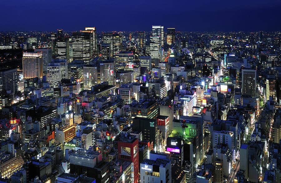 Tokyo Elevated View Photograph by Vladimir Zakharov - Fine Art America