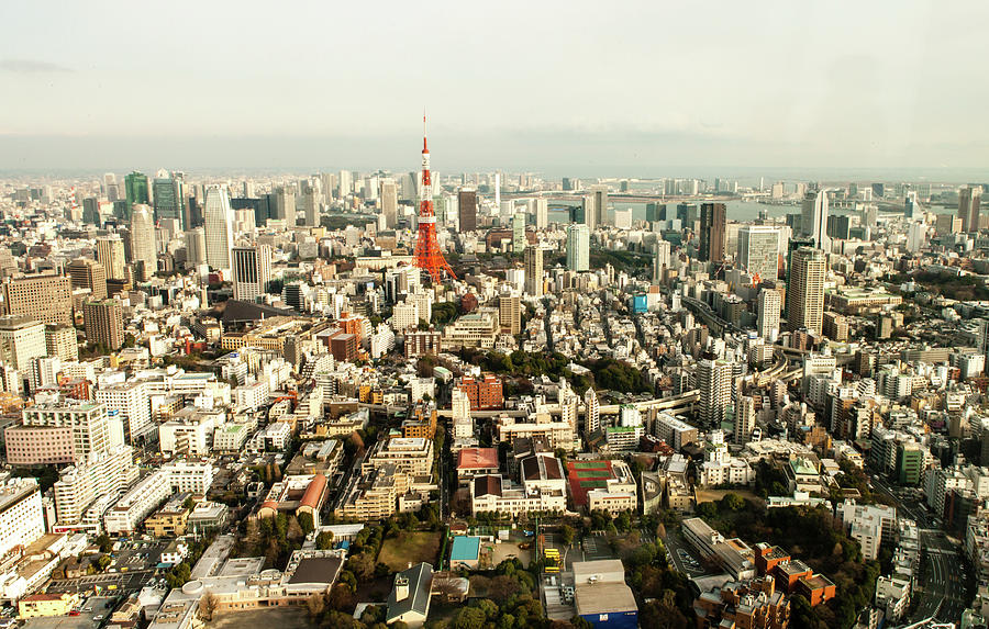 Tokyo Skyline #1 Photograph by Www.garywhite.nl