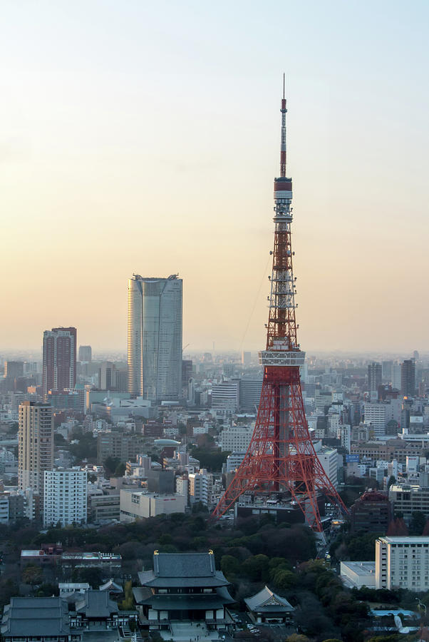 Tokyo Tower Photograph by I Love Photo And Apple.