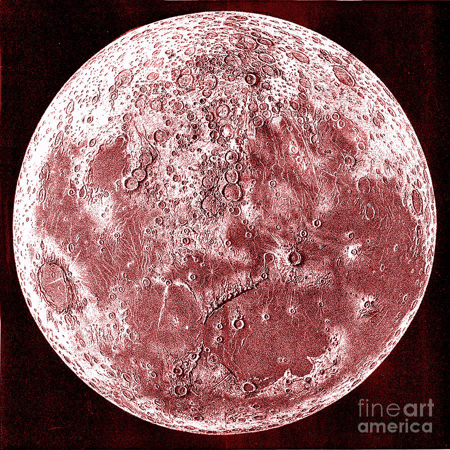 Space Photograph - Topography Of The Moon #1 by Collection Abecasis/science Photo Library