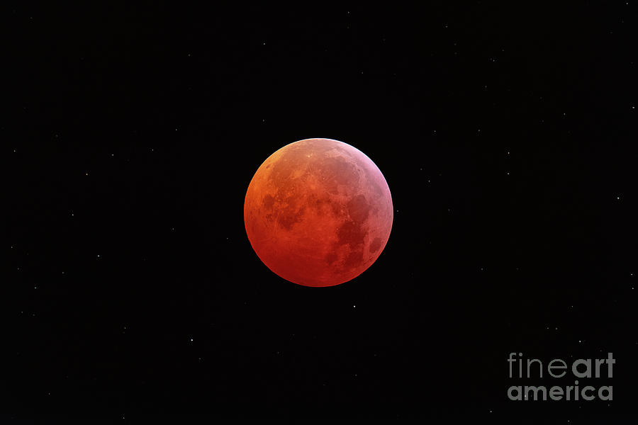 21st Century Photograph - Total Lunar Eclipse At Totality 1 by Miguel Claro/science Photo Library 21st Century Photograph - Total Lunar Eclipse At Totality 1 by Miguel Claro/science Photo Library