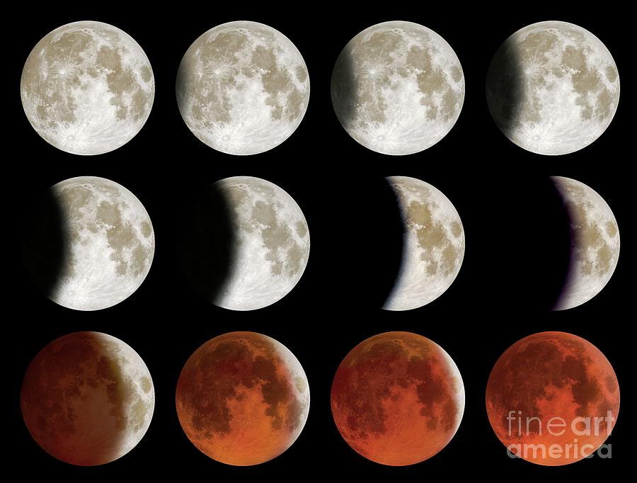 Total Lunar Eclipse #1 by Lynette Cook/science Photo Library