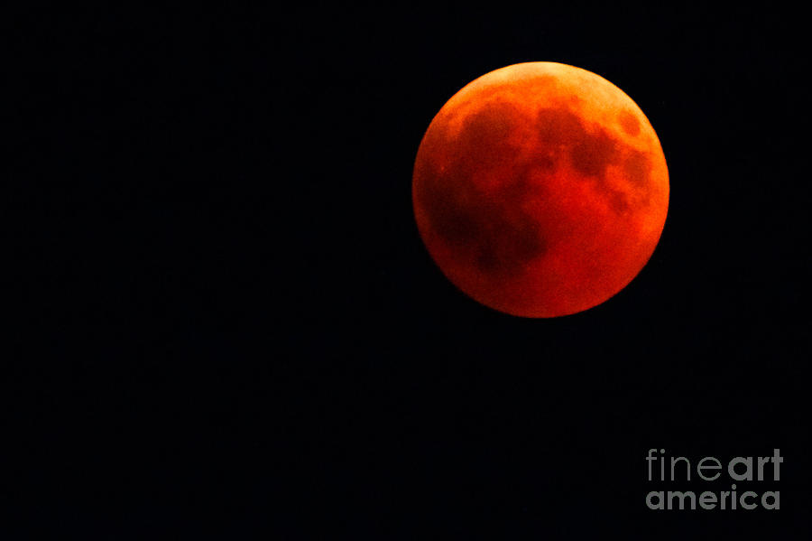 Total red lunar eclipse #1 Photograph by Benny Marty