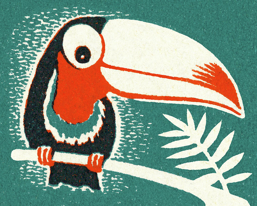 Nature Drawing - Toucan #1 by CSA Images