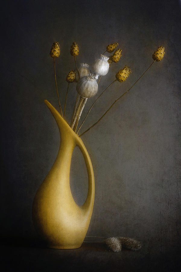 Still Life Photograph - Touched By Light #1 by Cicek Kiral