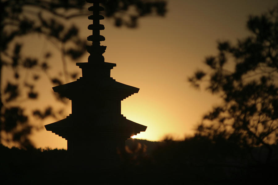Tower Of Korea #1 Photograph by Jong Heung Lee