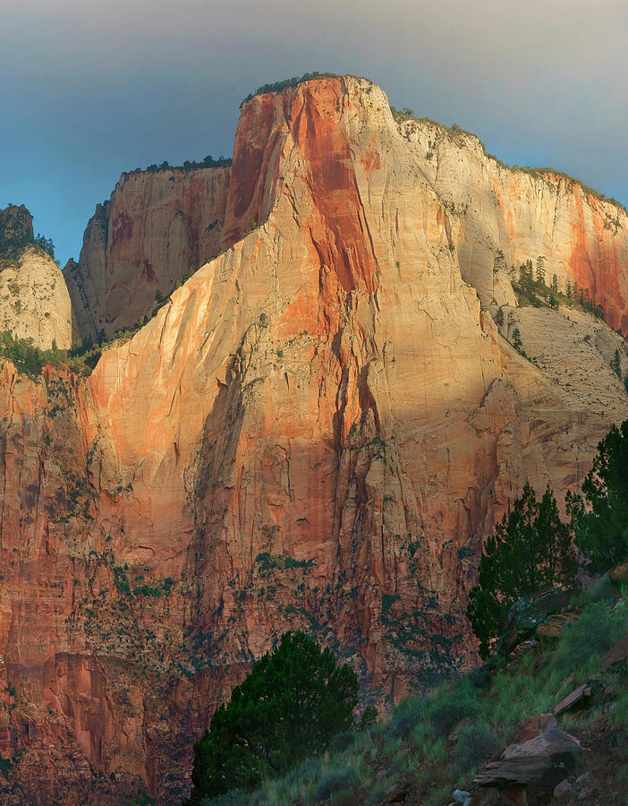 Towers Of The Virgin, Zion National Park, Utah #1 Photograph by Tim Fitzharris