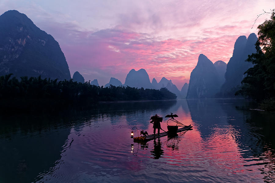 Traditional Chinese Cormorant Photograph by Adam Jones | Fine Art America