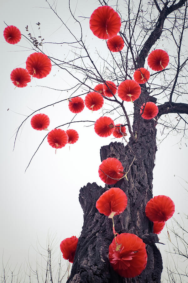 Traditional Chinese Lanterns #1 Photograph by Eastimages
