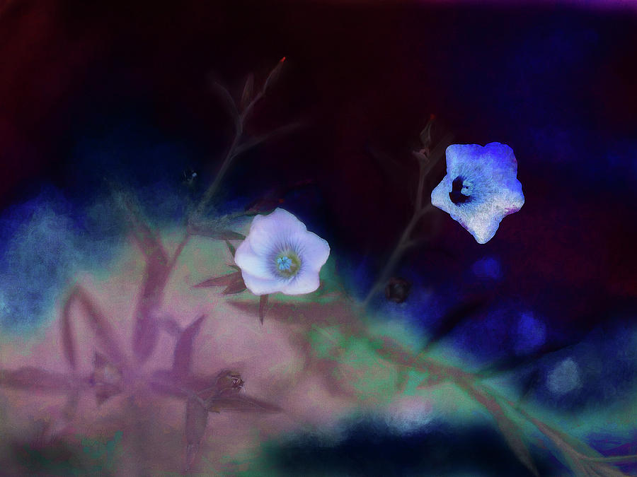 Transience Painting - Transience by Helen White Transience Painting - Transience by Helen White