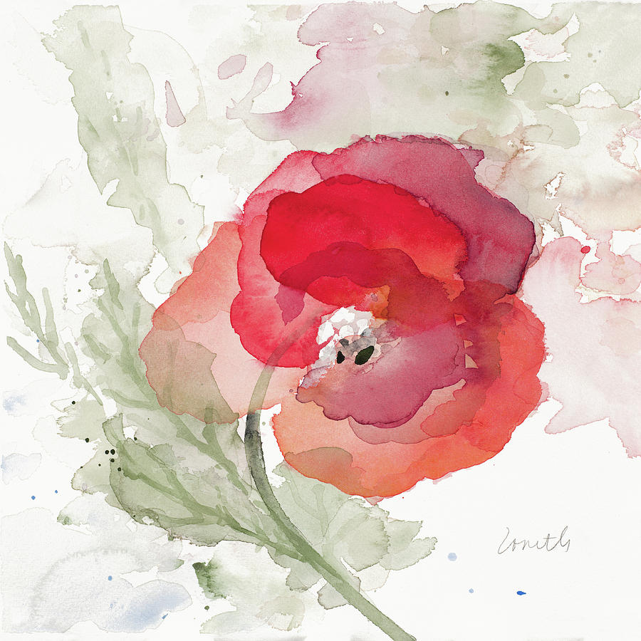 Poppy Painting - Translucent Poppy II by Lanie Loreth