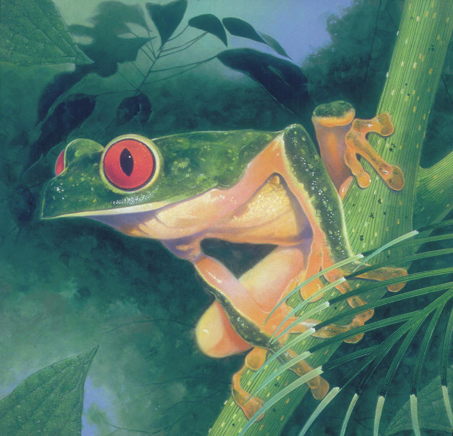 Tree Frog Painting - Tree Frog #1 by Durwood Coffey