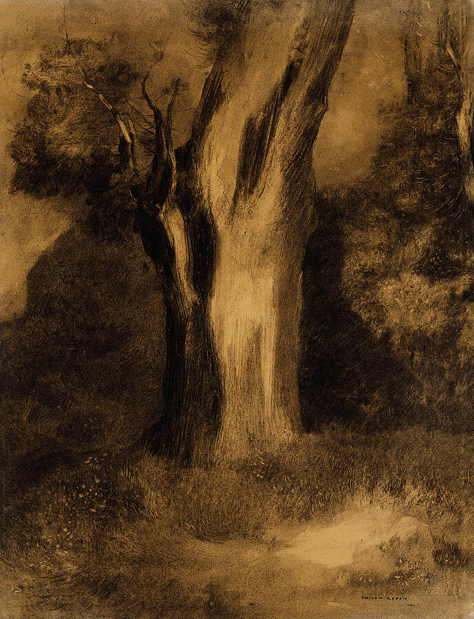 Tree #1 Drawing by Odilon Redon