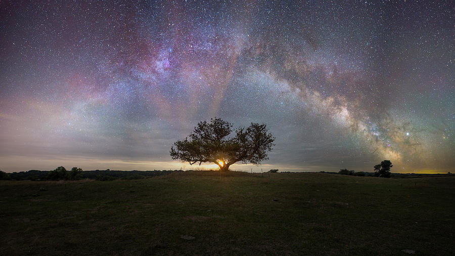 Tree of Light by Aaron J Groen Tree of Light by Aaron J Groen