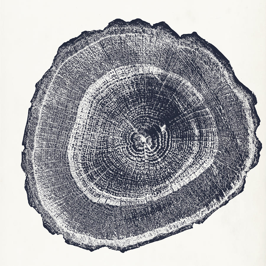 Tree Painting - Tree Ring IIi by Vision Studio