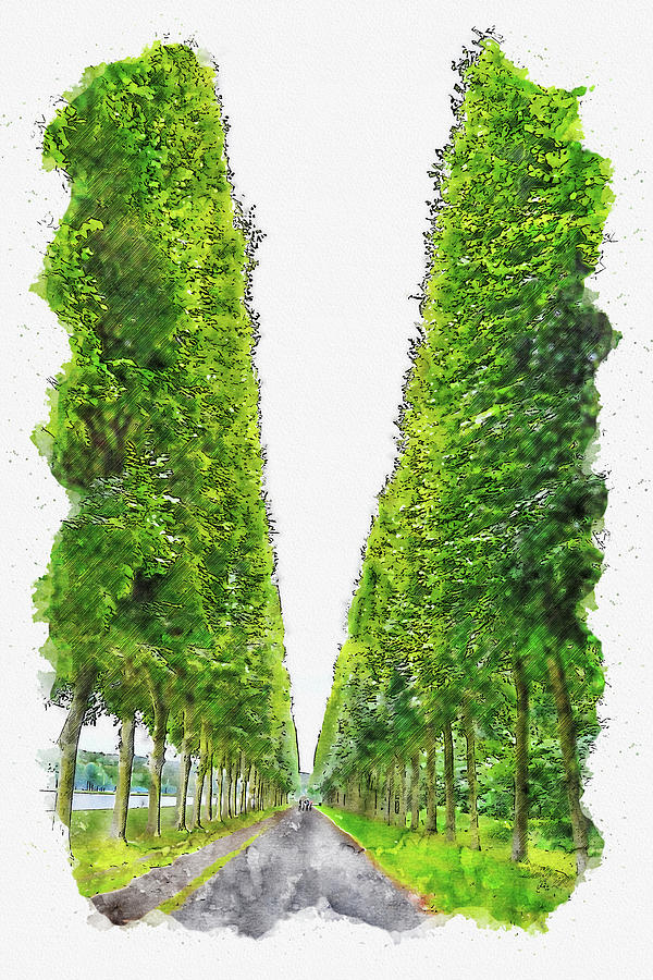 Tree #watercolor #sketch #tree #green #1 Digital Art by TintoDesigns