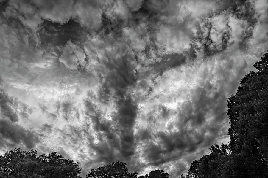 Trees Clouds and Sky Late Afternoon #1 Photograph by Robert Ullmann