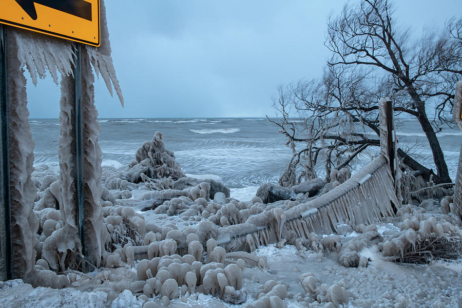 Trees Encased In Ice In Lake Erie Winter Storm Photograph by Cavan