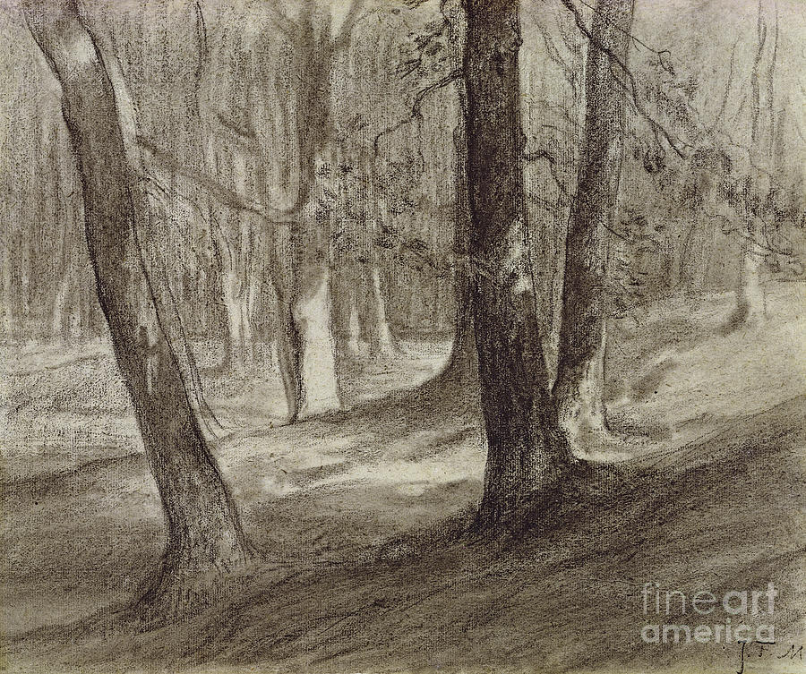 Trees In A Forest Drawing by Jean-francois Millet