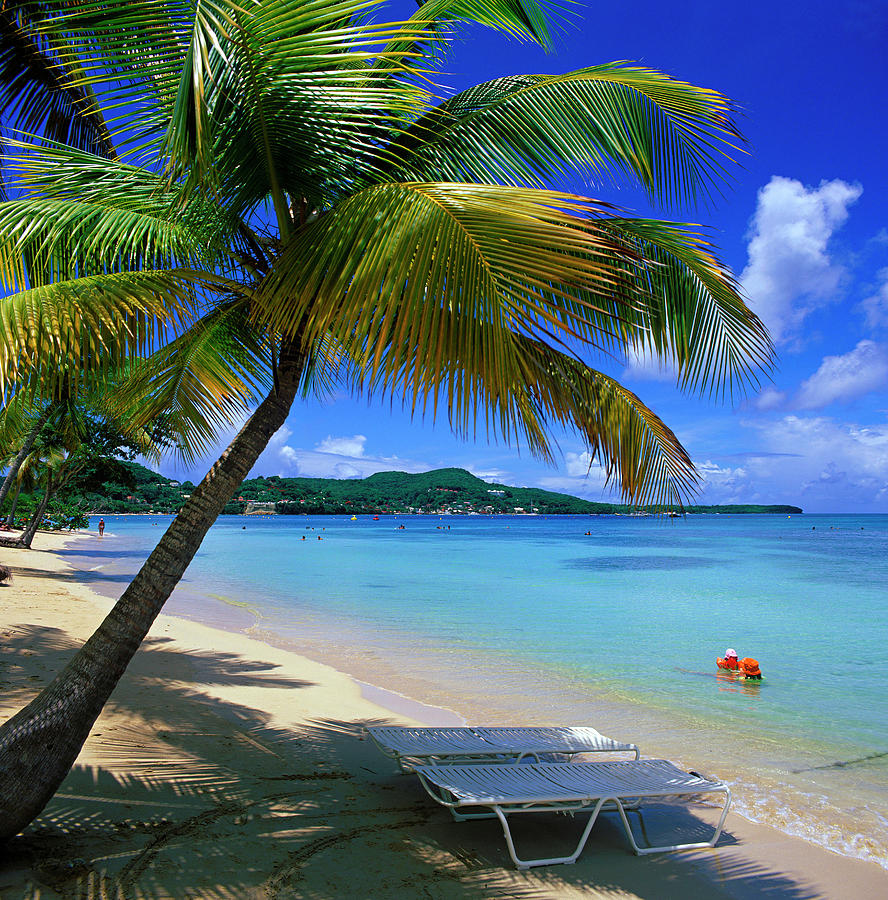 Tropical Beach In The Caribbean #1 Digital Art by Alberto Biscaro