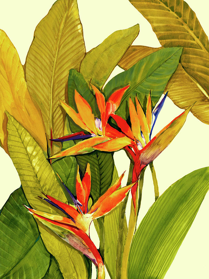 Flower Painting - Tropical Bird Of Paradise #1 by Tim Otoole