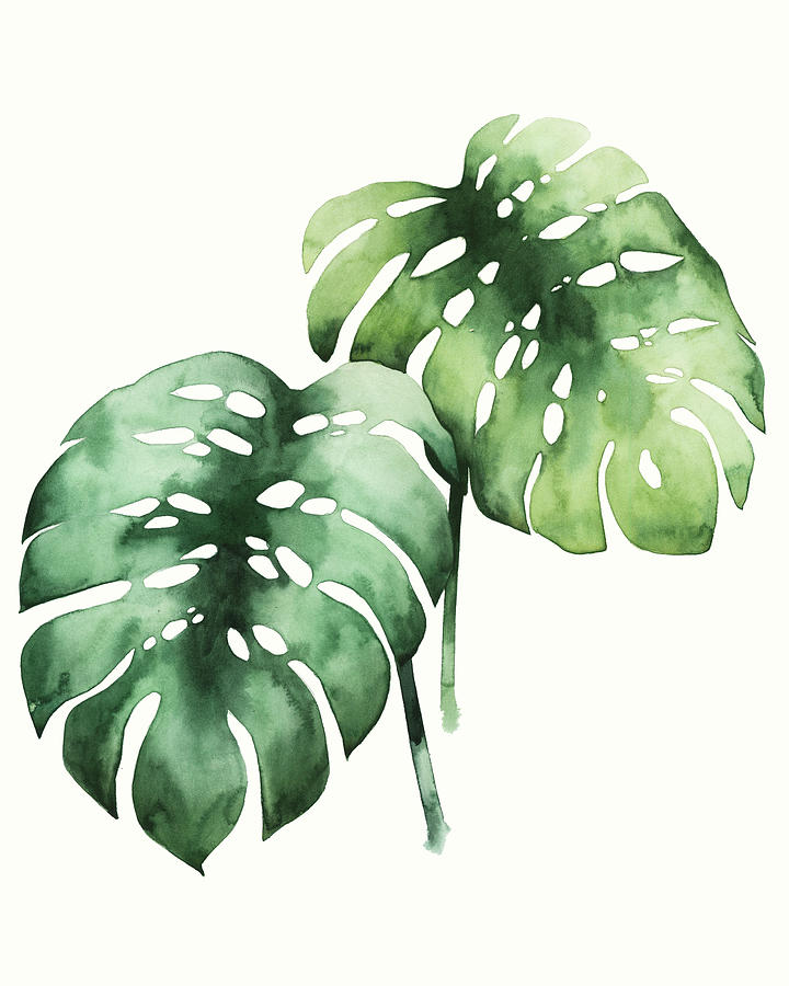 Tropical Plant I Painting by Grace Popp - Fine Art America