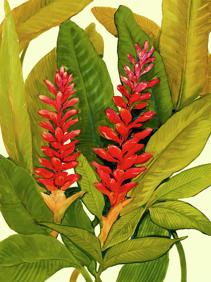 Flower Painting - Tropical Red Ginger #1 by Tim Otoole