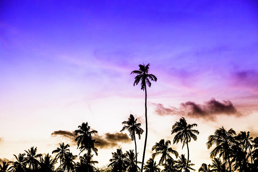 Tropical Sunset #1 Photograph by Emilio Lopez