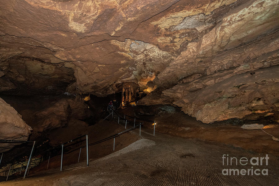 Tuckaleechee Caverns Stalagmites #3 Photograph by David Oppenheimer