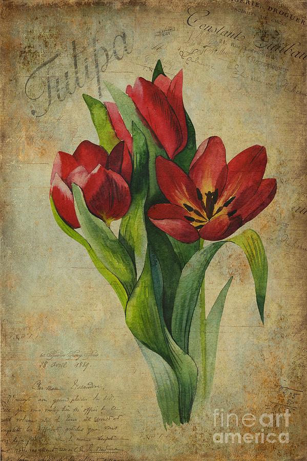 Tulipa Painting