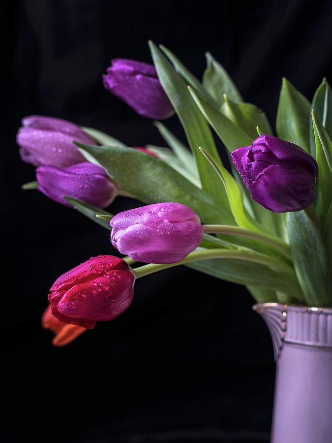 Tulips In Lilac Jug #1 Photograph by Elisabeth Von Plnitz-eisfeld
