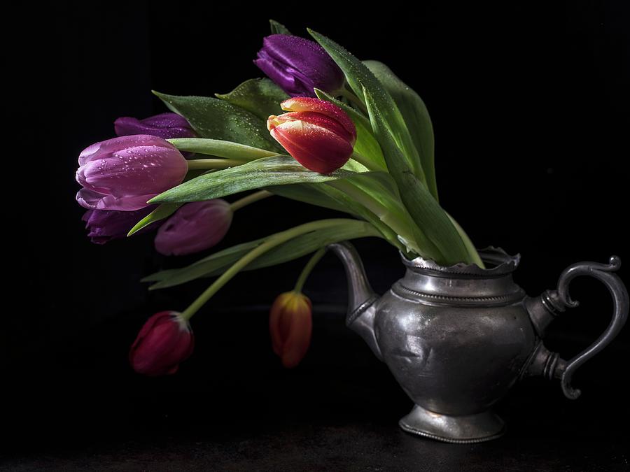 Tulips In Pewter Teapot #1 Photograph by Elisabeth Von Plnitz-eisfeld