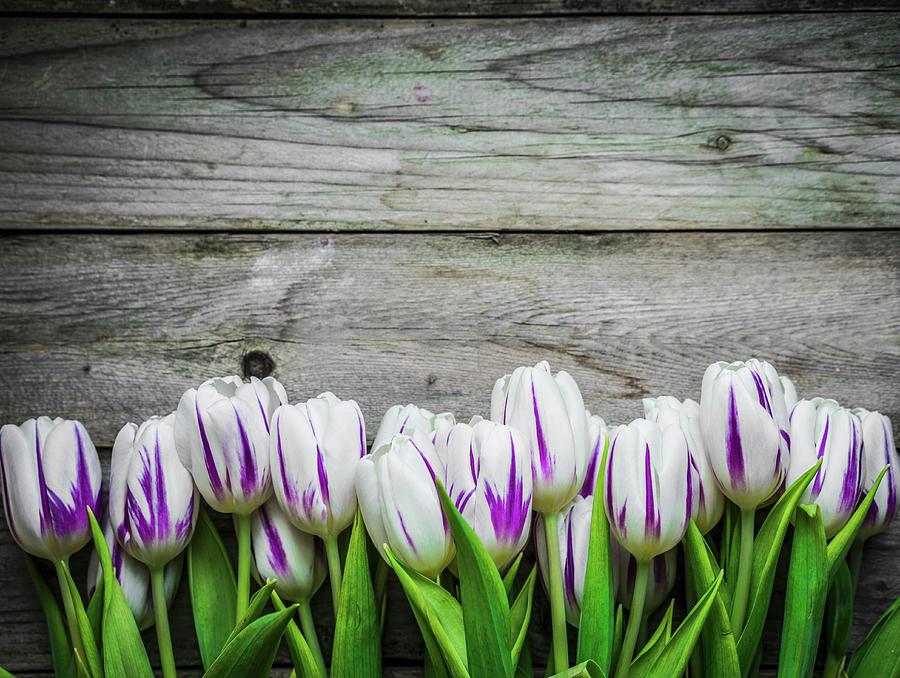 Tulips On Wooden Surface #1 Photograph by Alena Haurylik