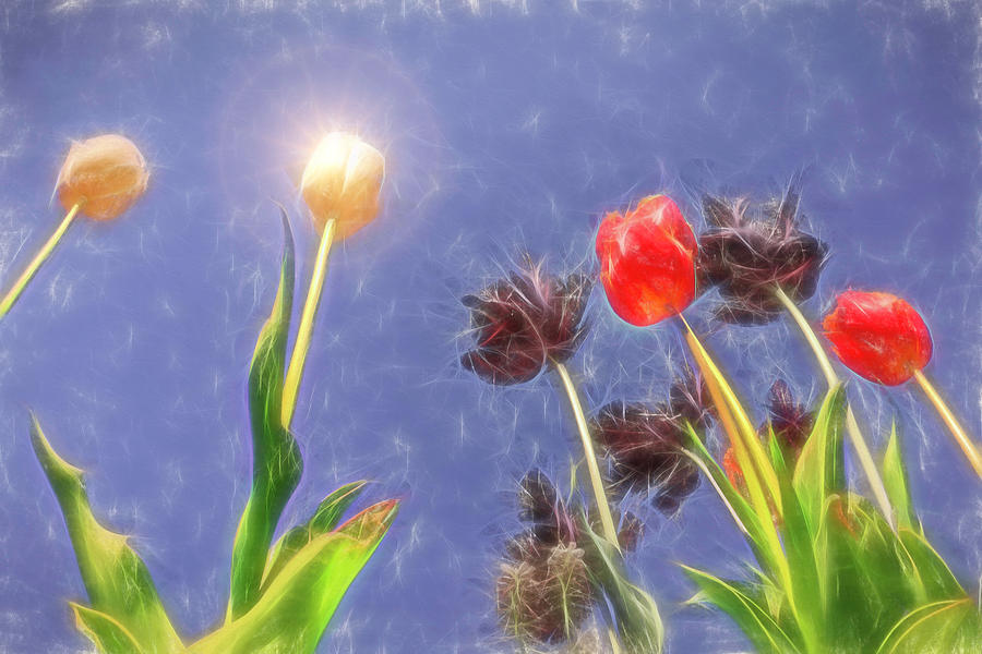 Tulips, tulips, tulips #1 Mixed Media by Sue Leonard