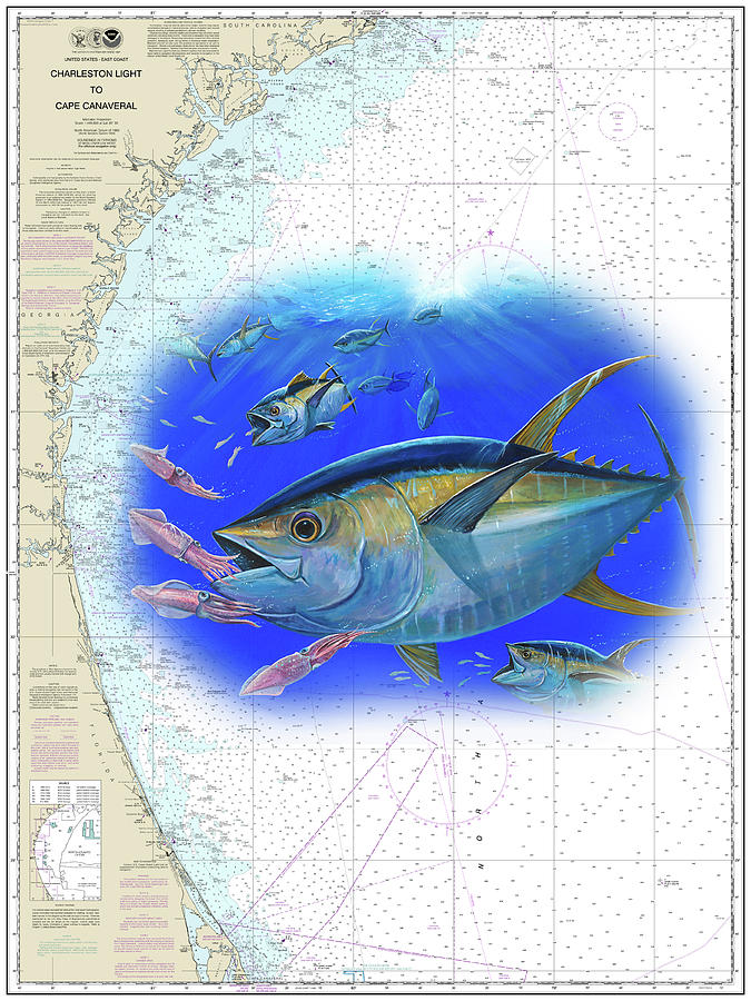 Tuna and Squids Chart Painting by Mark Ray