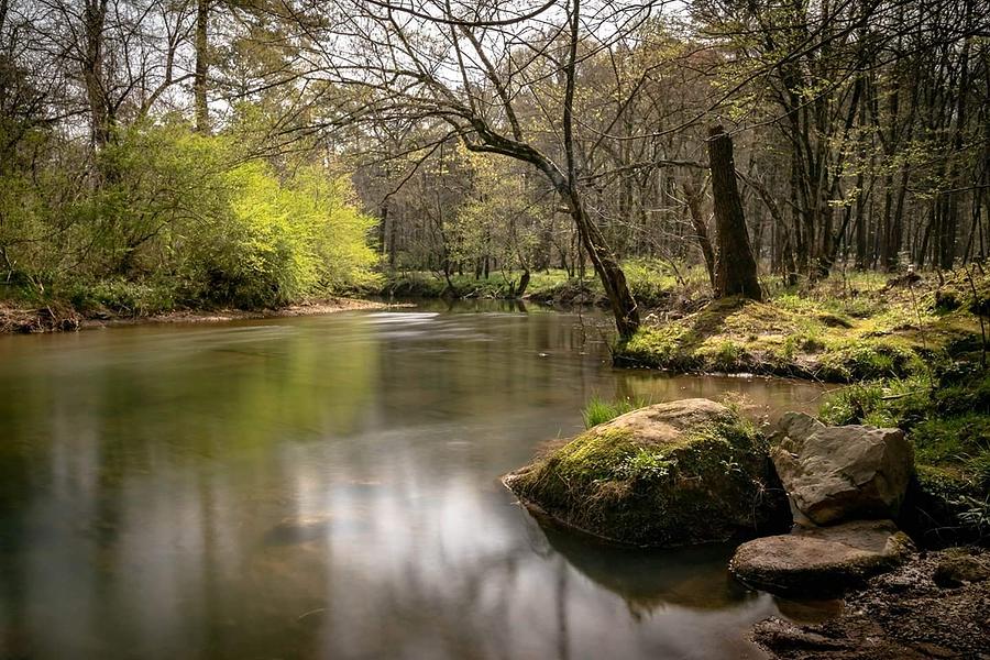 Turkey Creek view by Rick Cooper Turkey Creek view by Rick Cooper