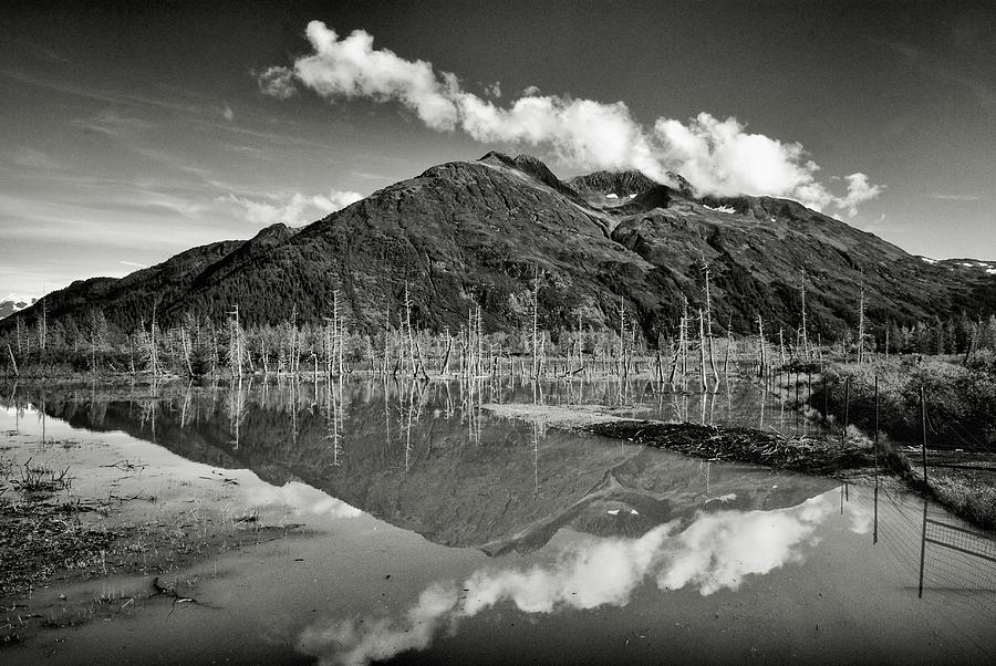 Turnagain Arm Alaska Photograph by Donald Pash