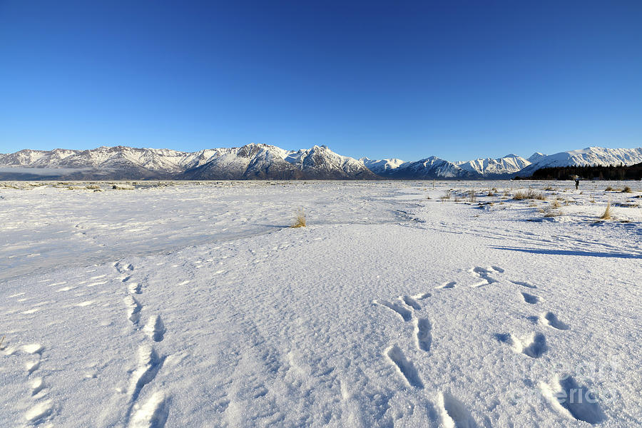 Turnagain Arm and Chugach Range from Hope Alaska #1 Photograph by Louise Heusinkveld